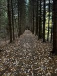 IMG_2547.jpeg